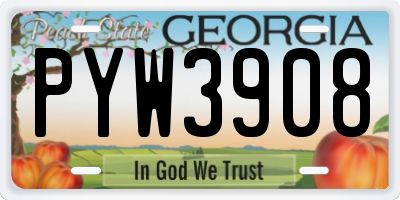 GA license plate PYW3908