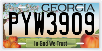 GA license plate PYW3909