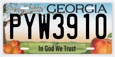 GA license plate PYW3910