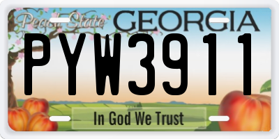 GA license plate PYW3911