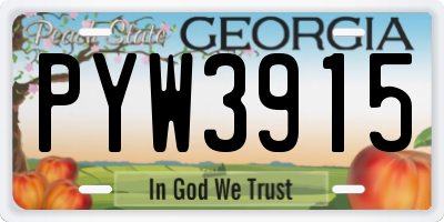GA license plate PYW3915