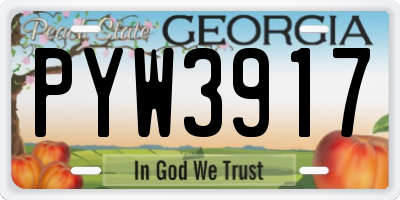 GA license plate PYW3917