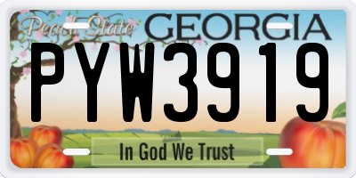 GA license plate PYW3919