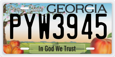 GA license plate PYW3945