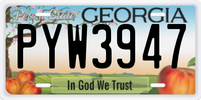 GA license plate PYW3947
