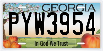 GA license plate PYW3954