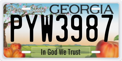 GA license plate PYW3987