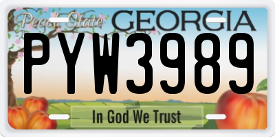 GA license plate PYW3989