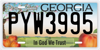 GA license plate PYW3995