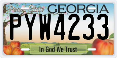 GA license plate PYW4233