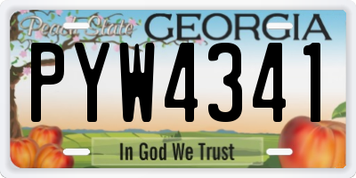 GA license plate PYW4341