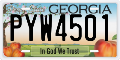 GA license plate PYW4501