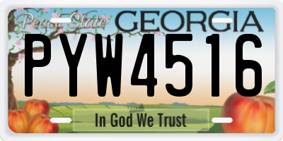 GA license plate PYW4516