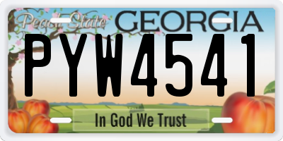 GA license plate PYW4541