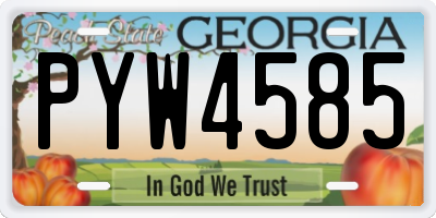 GA license plate PYW4585