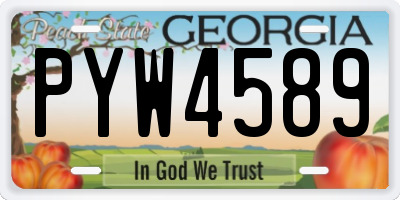 GA license plate PYW4589