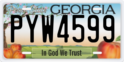 GA license plate PYW4599