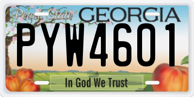 GA license plate PYW4601