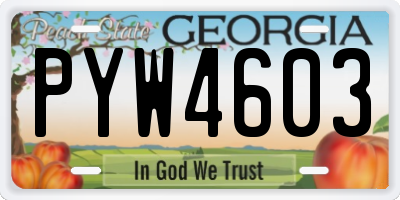 GA license plate PYW4603