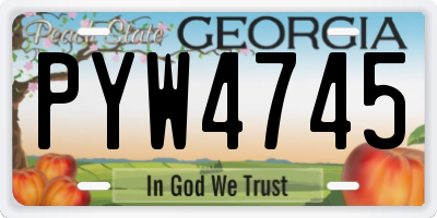 GA license plate PYW4745