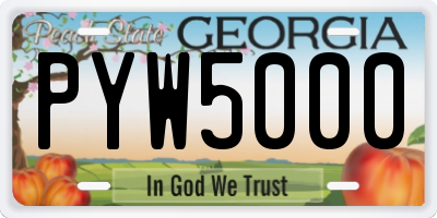 GA license plate PYW5000