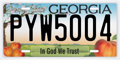 GA license plate PYW5004