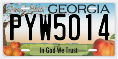 GA license plate PYW5014