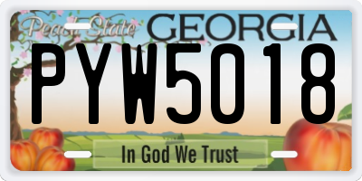 GA license plate PYW5018