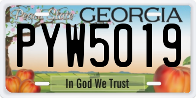 GA license plate PYW5019