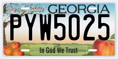 GA license plate PYW5025