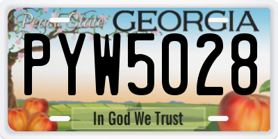 GA license plate PYW5028