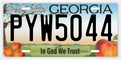 GA license plate PYW5044
