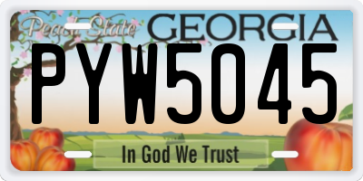 GA license plate PYW5045