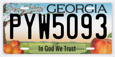 GA license plate PYW5093