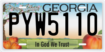 GA license plate PYW5110