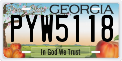 GA license plate PYW5118