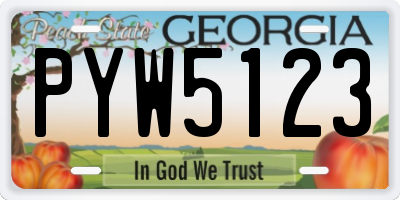 GA license plate PYW5123