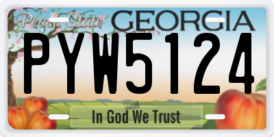 GA license plate PYW5124