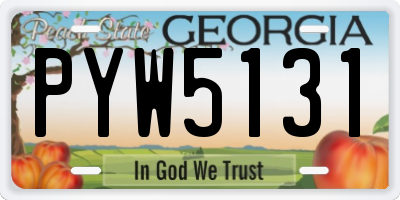 GA license plate PYW5131