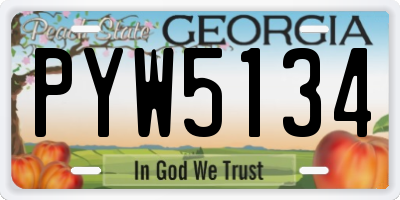 GA license plate PYW5134