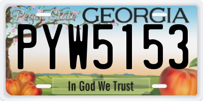GA license plate PYW5153