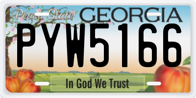 GA license plate PYW5166