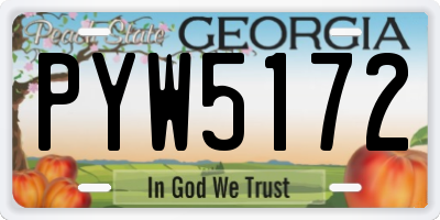 GA license plate PYW5172