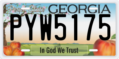 GA license plate PYW5175