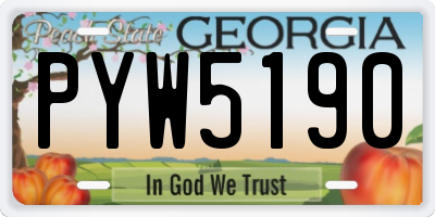 GA license plate PYW5190