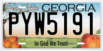 GA license plate PYW5191