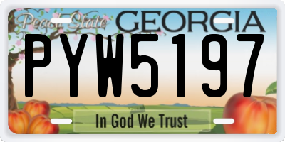GA license plate PYW5197