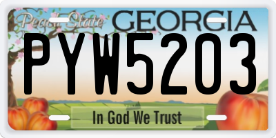GA license plate PYW5203