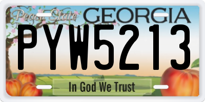 GA license plate PYW5213