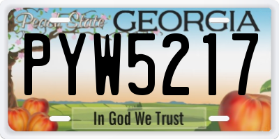 GA license plate PYW5217